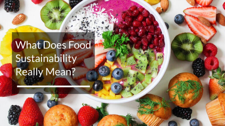  What Does Food Sustainability Really Mean 