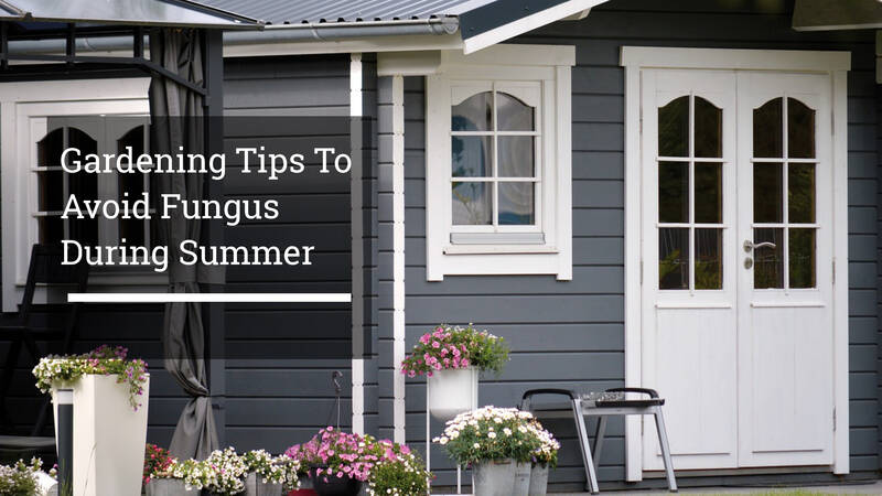 Gardening Tips To Avoid Fungus During Summer