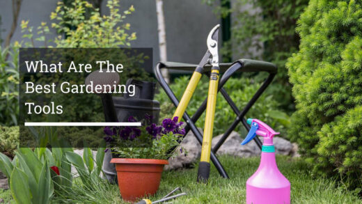 What Are The Best Gardening Tools